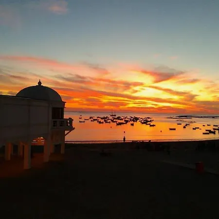Apartamento En El Centro A 200 M De La Playa